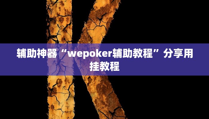 辅助神器“wepoker辅助教程”分享用挂教程