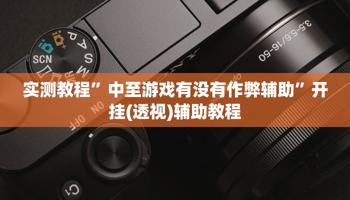 实测教程”中至游戏有没有作弊辅助”开挂(透视)辅助教程