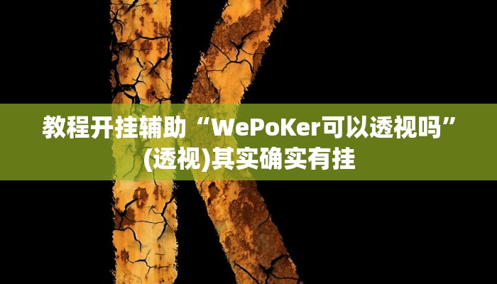 教程开挂辅助“微乐四川麻将外卦神器下载”(透视)其实确实有挂