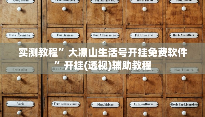 实测教程”大凉山生活号开挂免费软件”开挂(透视)辅助教程