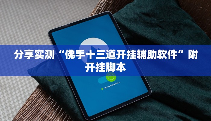 分享实测“佛手十三道开挂辅助软件”附开挂脚本