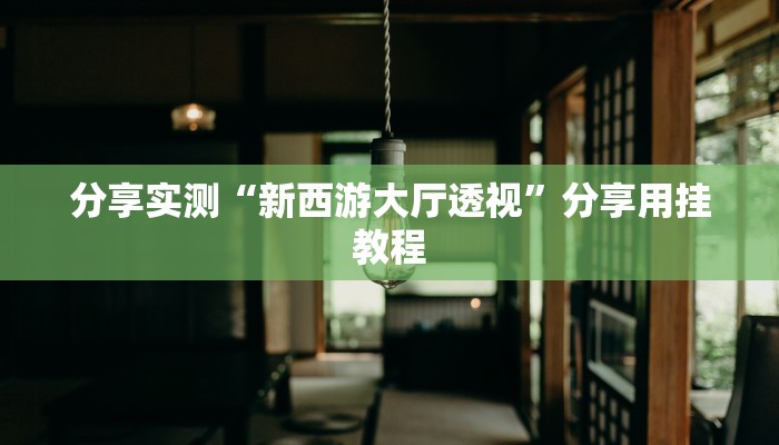 分享实测“新西游大厅透视”分享用挂教程