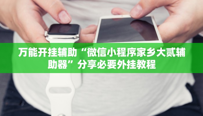 万能开挂辅助“微信小程序家乡大贰辅助器”分享必要外挂教程