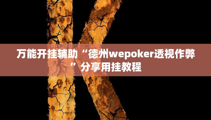万能开挂辅助“德州wepoker透视作弊”分享用挂教程