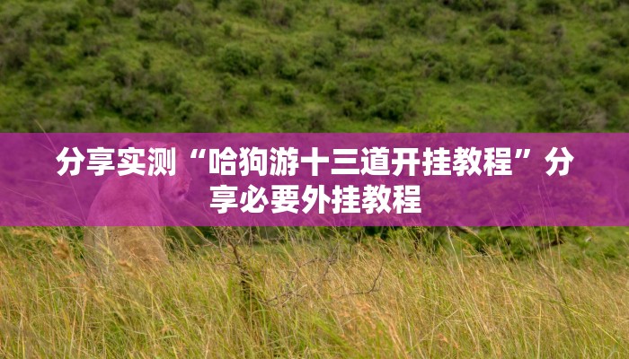分享实测“哈狗游十三道开挂教程”分享必要外挂教程