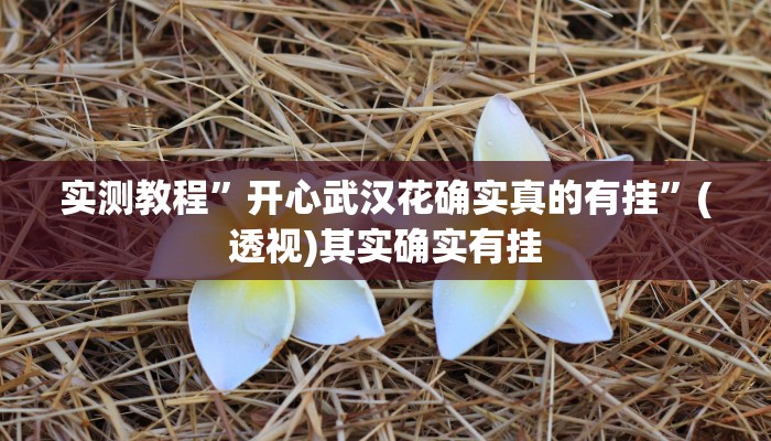 实测教程”开心武汉花确实真的有挂”(透视)其实确实有挂