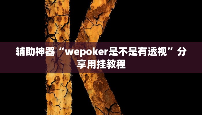 辅助神器“wepoker是不是有透视”分享用挂教程