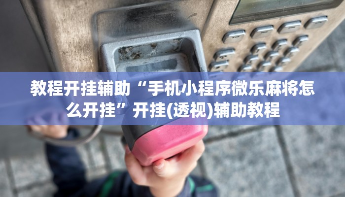 教程开挂辅助“手机小程序微乐麻将怎么开挂”开挂(透视)辅助教程