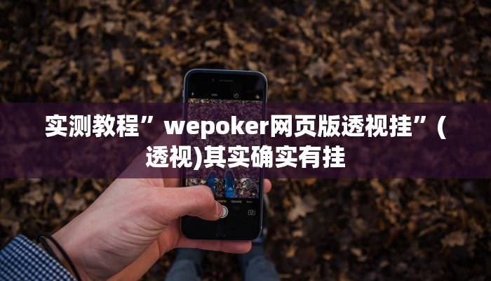 实测教程”wepoker网页版透视挂”(透视)其实确实有挂