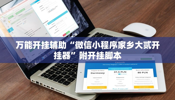 万能开挂辅助“微信小程序家乡大贰开挂器”附开挂脚本