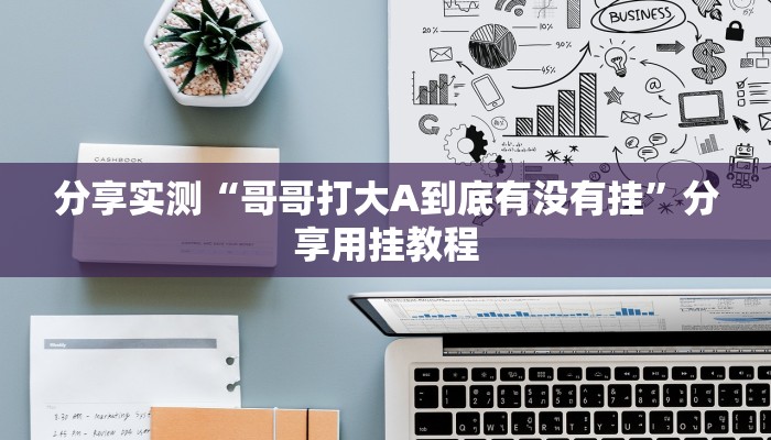 分享实测“哥哥打大A到底有没有挂”分享用挂教程