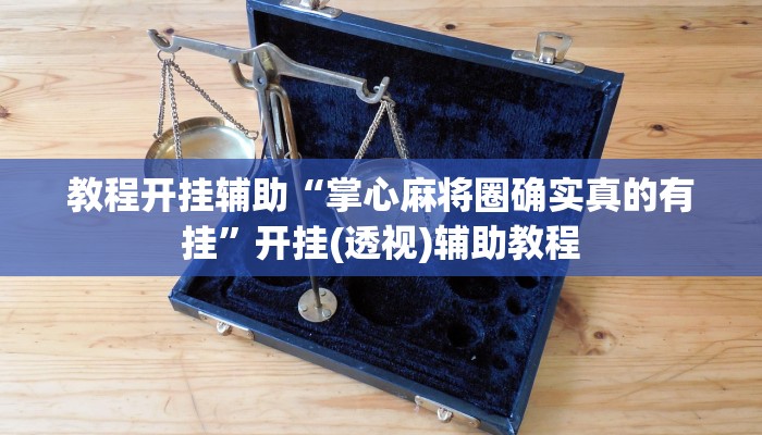 辅助开挂神器“微乐双扣外卦神器下载安装”开挂(透视)辅助教程