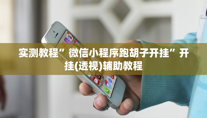 实测教程”微信小程序跑胡子开挂”开挂(透视)辅助教程