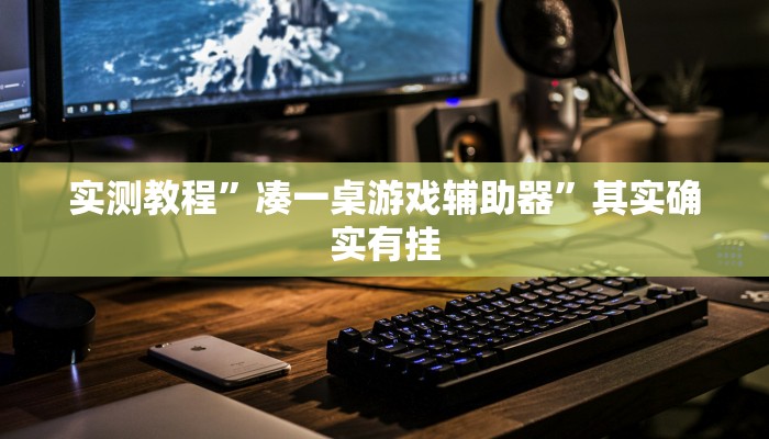 实测教程”凑一桌游戏辅助器”其实确实有挂