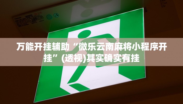 万能开挂辅助“微乐云南麻将小程序开挂”(透视)其实确实有挂