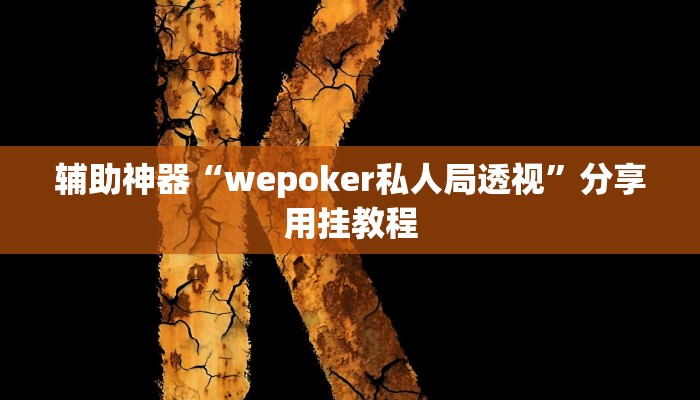 辅助神器“wepoker私人局透视”分享用挂教程