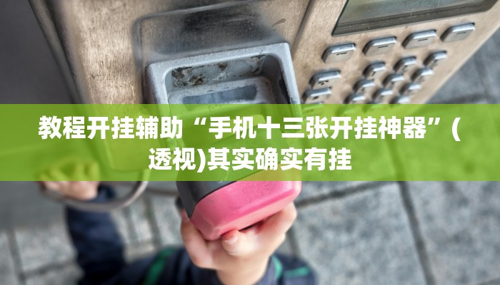 教程开挂辅助“手机十三张开挂神器”(透视)其实确实有挂