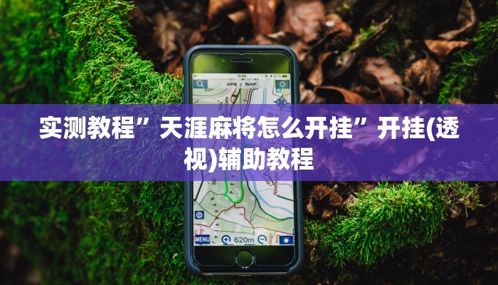 实测教程”天涯麻将怎么开挂”开挂(透视)辅助教程