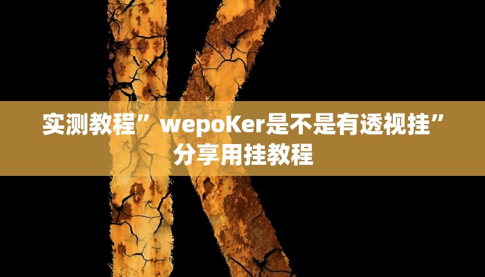 实测教程”wepoKer是不是有透视挂”分享用挂教程