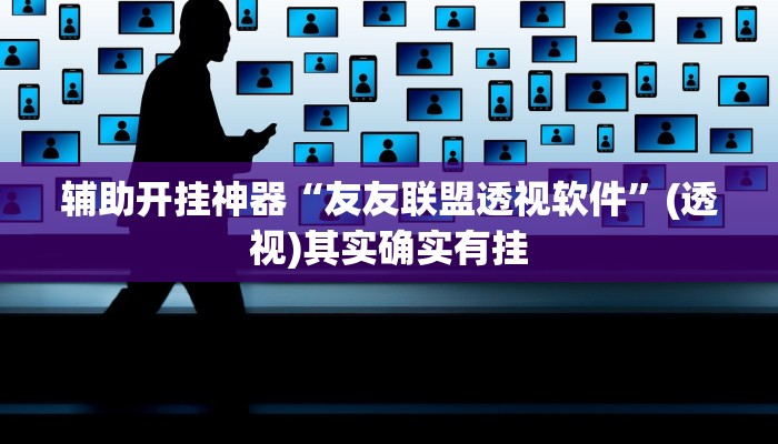 辅助开挂神器“友友联盟透视软件”(透视)其实确实有挂