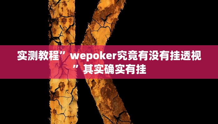实测教程”wepoker究竟有没有挂透视”其实确实有挂