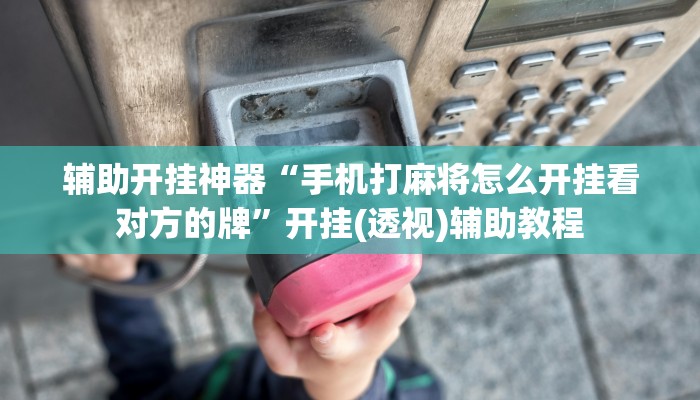 辅助开挂神器“手机打麻将怎么开挂看对方的牌”开挂(透视)辅助教程