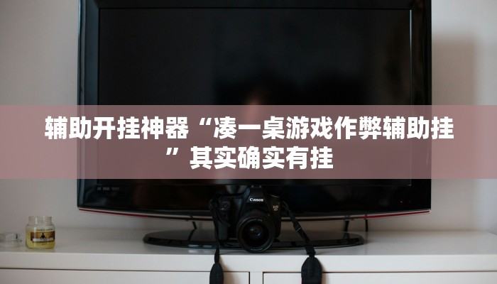 辅助开挂神器“凑一桌游戏作弊辅助挂”其实确实有挂