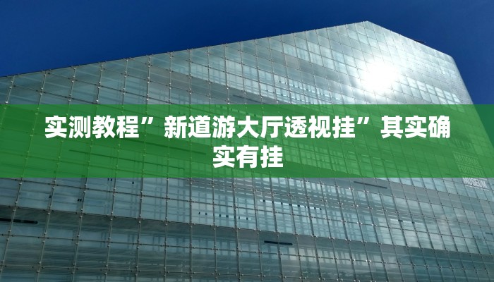 实测教程”新道游大厅透视挂”其实确实有挂