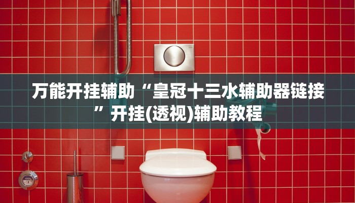 万能开挂辅助“皇冠十三水辅助器链接”开挂(透视)辅助教程