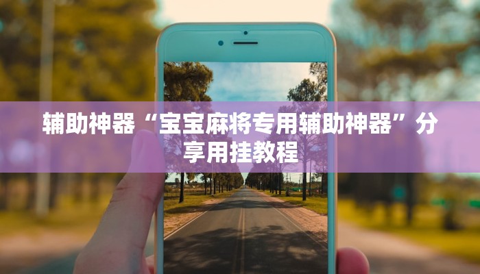 辅助神器“宝宝麻将专用辅助神器”分享用挂教程