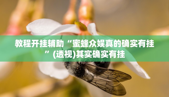 教程开挂辅助“蜜蜂众娱真的确实有挂”(透视)其实确实有挂