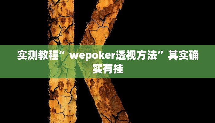 实测教程”wepoker透视方法”其实确实有挂