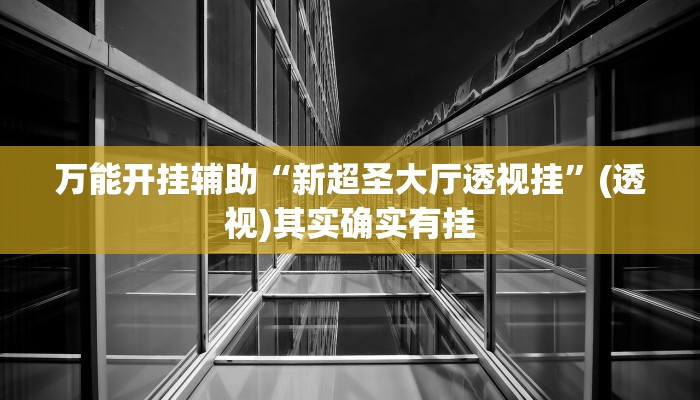 万能开挂辅助“新超圣大厅透视挂”(透视)其实确实有挂