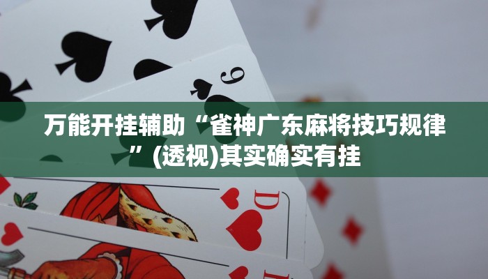 万能开挂辅助“雀神广东麻将技巧规律”(透视)其实确实有挂