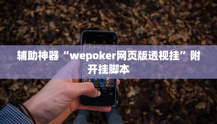 辅助神器“wepoker网页版透视挂”附开挂脚本