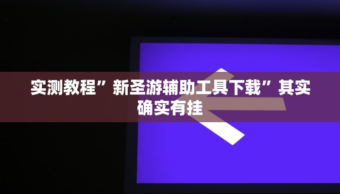 实测教程”新圣游辅助工具下载”其实确实有挂