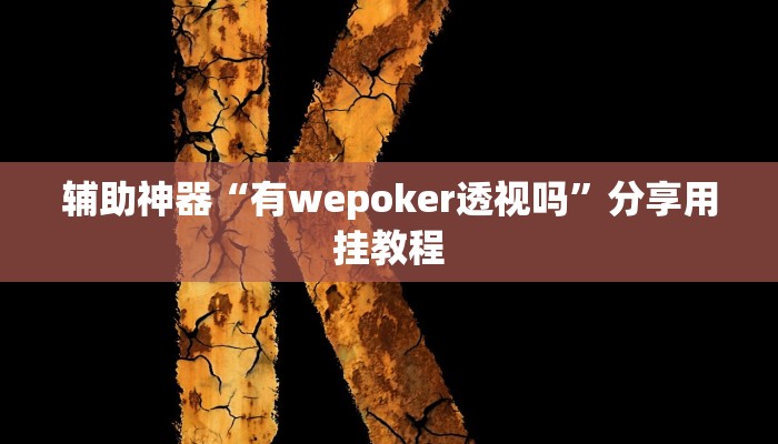 辅助神器“有wepoker透视吗”分享用挂教程