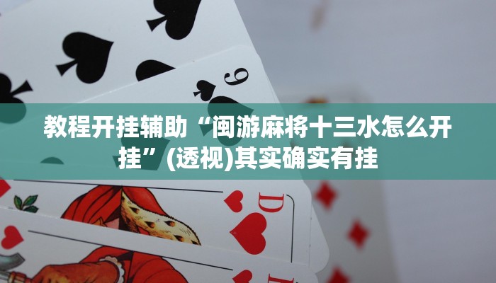 教程开挂辅助“闽游麻将十三水怎么开挂”(透视)其实确实有挂