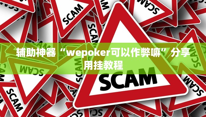 辅助神器“wepoker可以作弊嘛”分享用挂教程