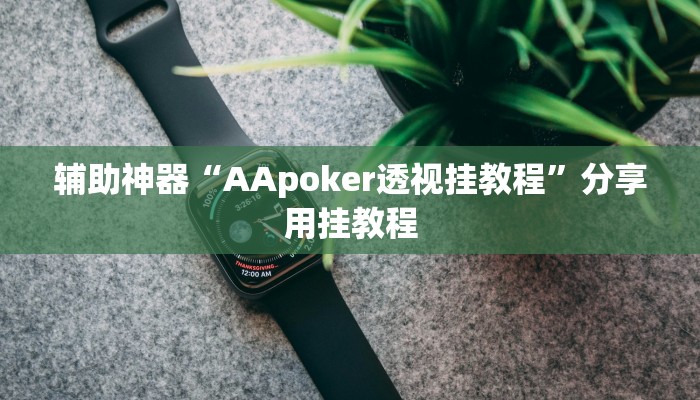 辅助神器“AApoker透视挂教程”分享用挂教程