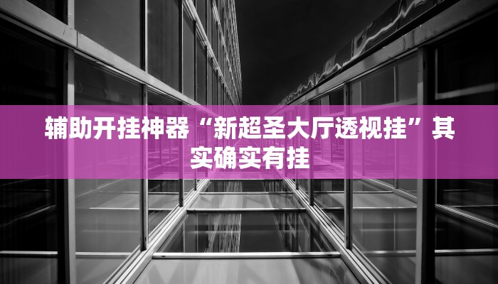辅助开挂神器“新超圣大厅透视挂”其实确实有挂
