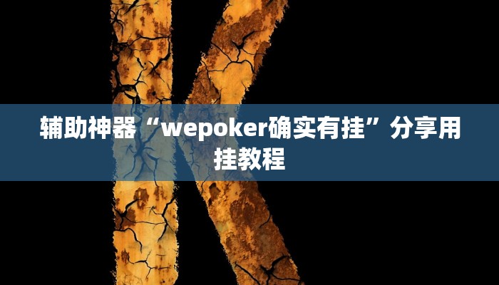 辅助神器“wepoker确实有挂”分享用挂教程