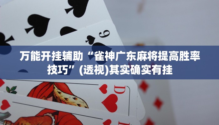 万能开挂辅助“雀神广东麻将提高胜率技巧”(透视)其实确实有挂