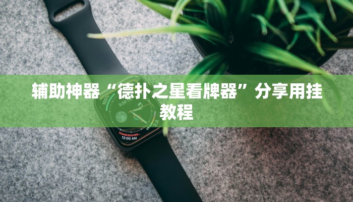 辅助神器“德扑之星看牌器”分享用挂教程