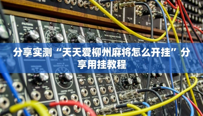 分享实测“天天爱柳州麻将怎么开挂”分享用挂教程