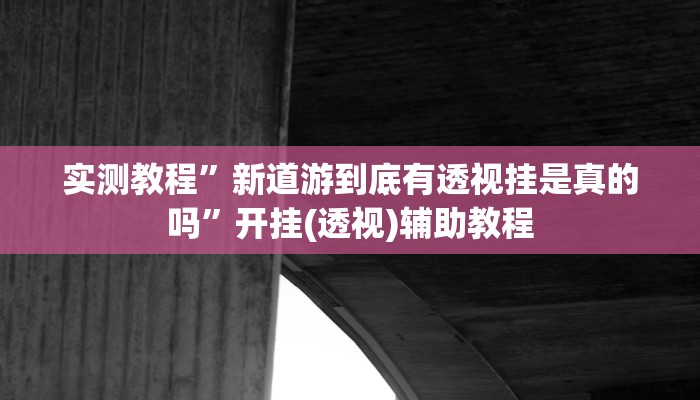 实测教程”新道游到底有透视挂是真的吗”开挂(透视)辅助教程