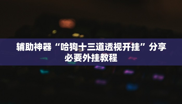 辅助神器“哈狗十三道透视开挂”分享必要外挂教程