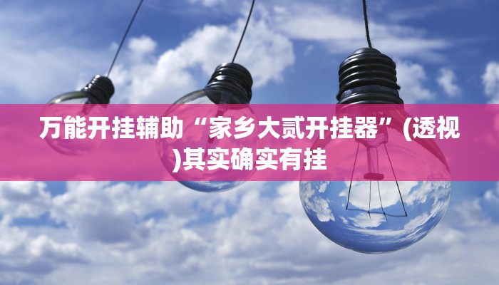 万能开挂辅助“家乡大贰开挂器”(透视)其实确实有挂