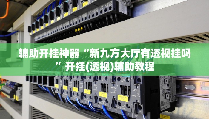 辅助开挂神器“新九方大厅有透视挂吗”开挂(透视)辅助教程