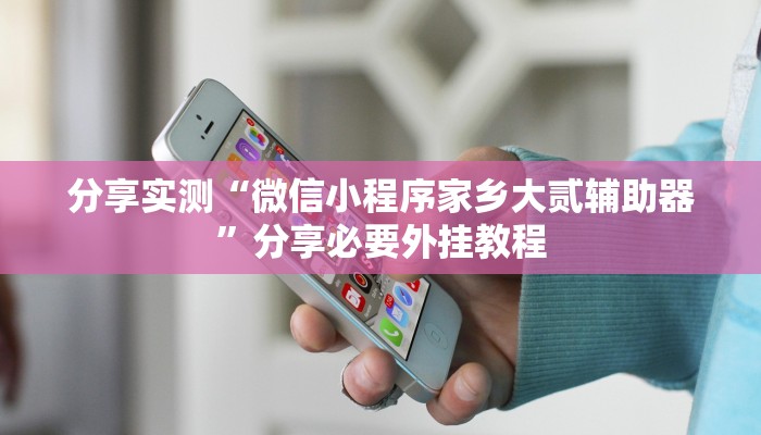 分享实测“微信小程序家乡大贰辅助器”分享必要外挂教程